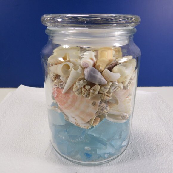REAL sea shells & blue tumbled glass in NEW glass jar w seal & lid (+2 pounds) - Picture 3 of 16